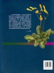 Gesneriaceae of South China - Outer Cover Back